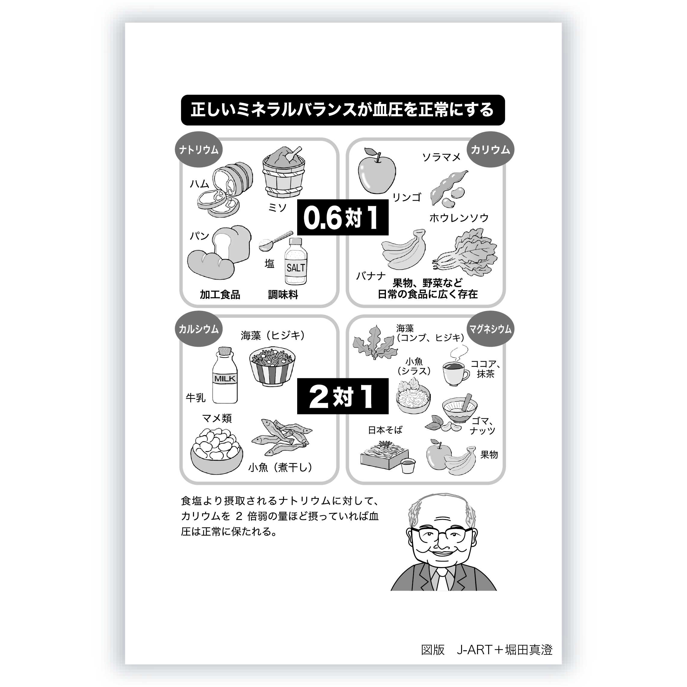 製品紹介 株式会社メグビー